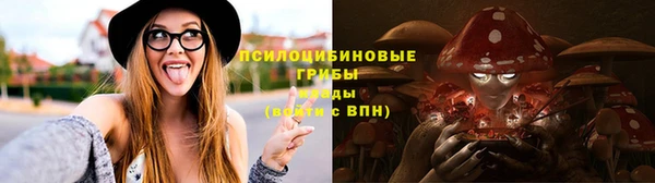 крисы Нефтегорск