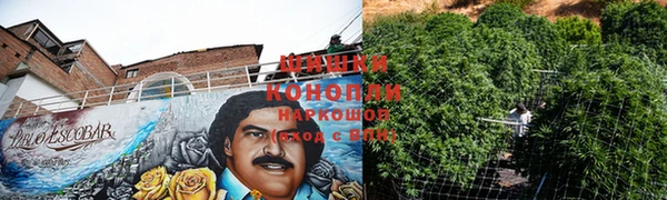 ПСИЛОЦИБИНОВЫЕ ГРИБЫ Нея