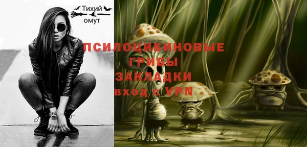 ПСИЛОЦИБИНОВЫЕ ГРИБЫ Нея