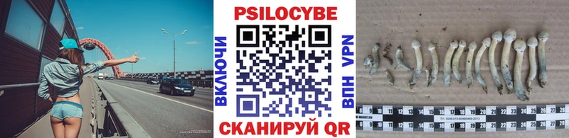 как найти MEGA сайт Галлюциногенные грибы Psilocybe Петров Вал