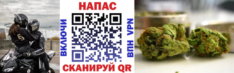 OMG как войти  Петров Вал  Каннабис конопля 